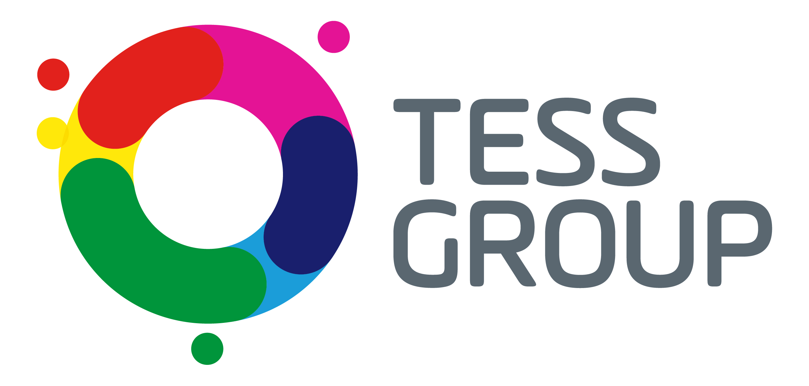 The Tess Group